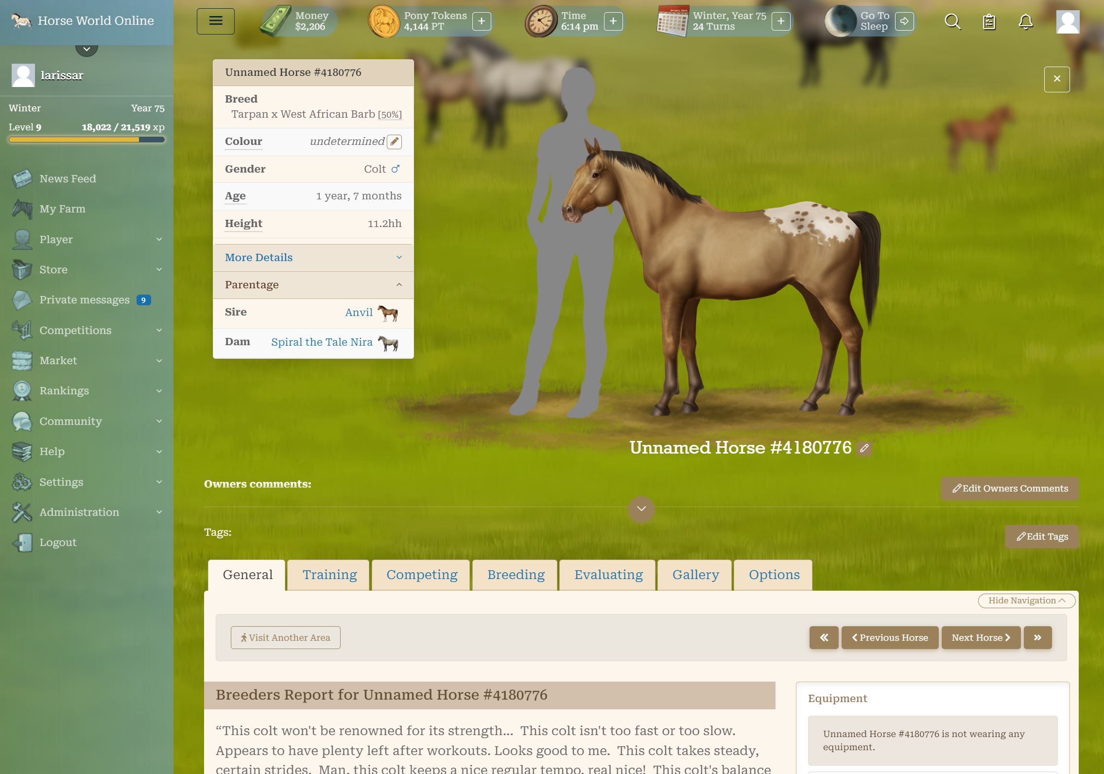 Horse World Online at Top Web Games