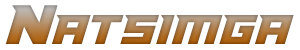 Natsimga logo